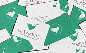Projet Les Volantes — identité visuelle et cartes de visite